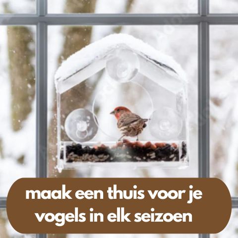 ViewNest | Allattatore per uccelli da finestra